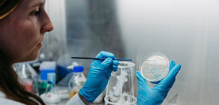 Header - Dynamic Systems